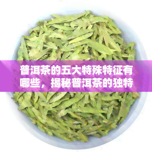 普洱茶的五大特殊特征有哪些，揭秘普洱茶的独特之处：五大特殊特征解析