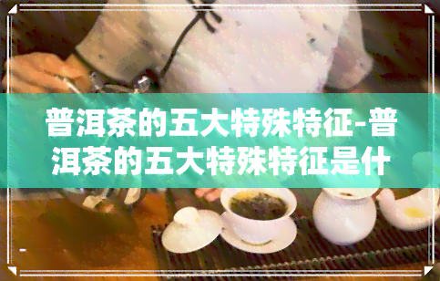 普洱茶的五大特殊特征-普洱茶的五大特殊特征是什么