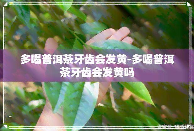 多喝普洱茶牙齿会发黄-多喝普洱茶牙齿会发黄吗