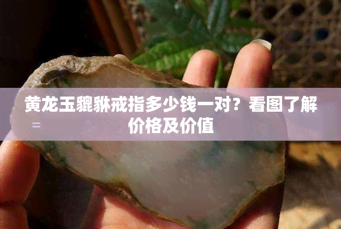 黄龙玉貔貅戒指多少钱一对？看图了解价格及价值