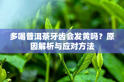 多喝普洱茶牙齿会发黄吗？原因解析与应对方法