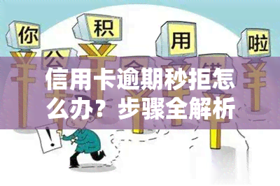 信用卡逾期秒拒怎么办？步骤全解析！