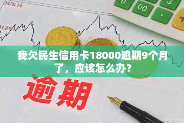 我欠民生信用卡18000逾期9个月了，应该怎么办？