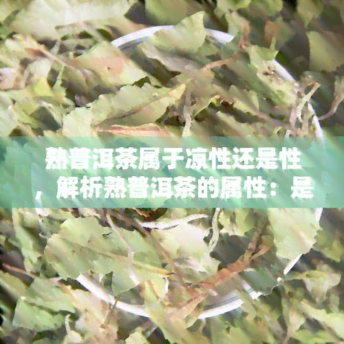 熟普洱茶属于凉性还是性，解析熟普洱茶的属性：是凉性还是性？