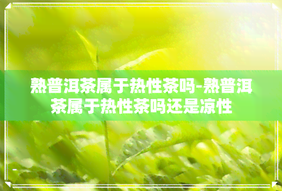 熟普洱茶属于热性茶吗-熟普洱茶属于热性茶吗还是凉性