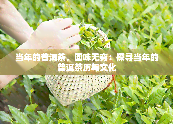 当年的普洱茶，回味无穷：探寻当年的普洱茶历与文化