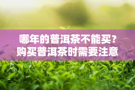 哪年的普洱茶不能买？购买普洱茶时需要注意哪些年份的质量问题？