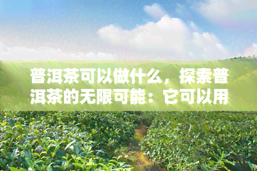 普洱茶可以做什么，探索普洱茶的无限可能：它可以用来做什么？