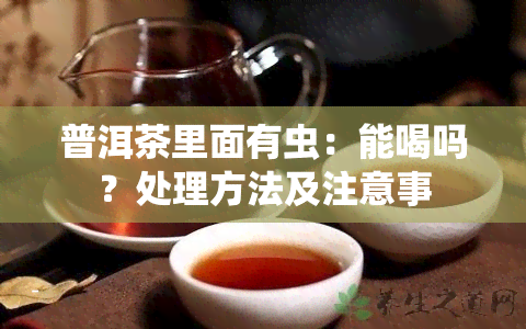 普洱茶里面有虫：能喝吗？处理方法及注意事