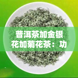 普洱茶加金银花加菊花茶：功效与搭配建议