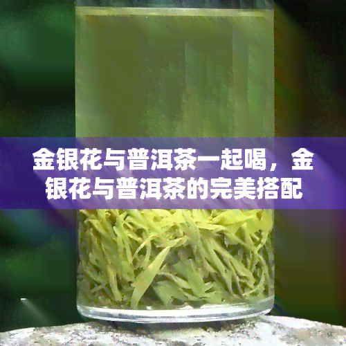 金银花与普洱茶一起喝，金银花与普洱茶的完美搭配：养生新选择