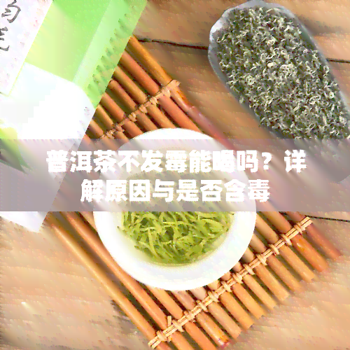 普洱茶不发霉能喝吗？详解原因与是否含