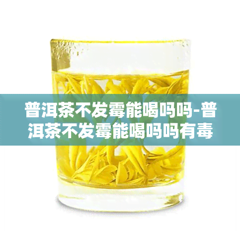 普洱茶不发霉能喝吗吗-普洱茶不发霉能喝吗吗有吗