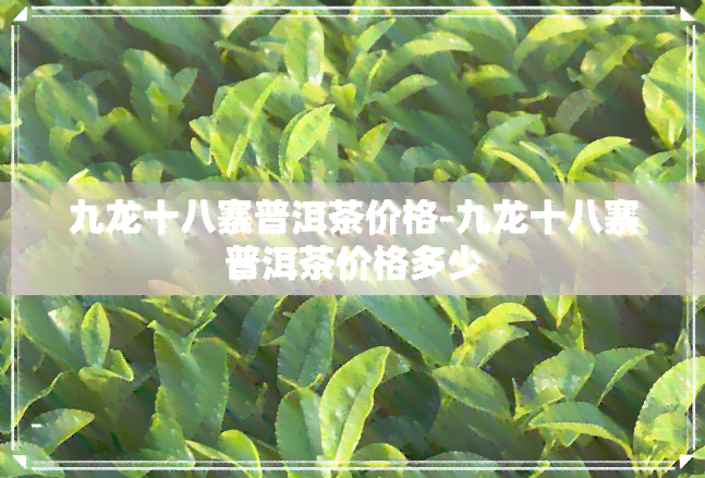 九龙十八寨普洱茶价格-九龙十八寨普洱茶价格多少