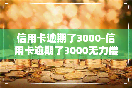 信用卡逾期了3000-信用卡逾期了3000无力偿还怎么办