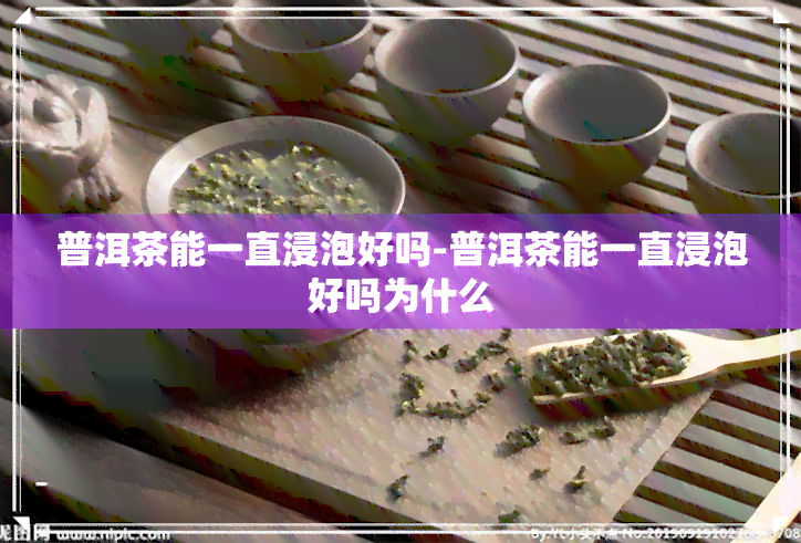 普洱茶能一直浸泡好吗-普洱茶能一直浸泡好吗为什么