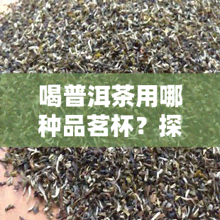 喝普洱茶用哪种品茗杯？探讨最适合的茶杯选择