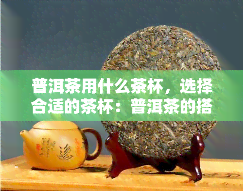 普洱茶用什么茶杯，选择合适的茶杯：普洱茶的搭配