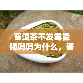 普洱茶不发霉能喝吗吗为什么，普洱茶不发霉能否饮用？原因解析