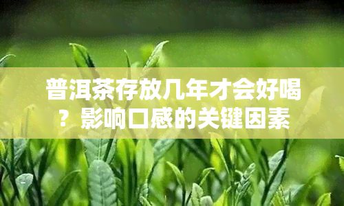 普洱茶存放几年才会好喝？影响口感的关键因素