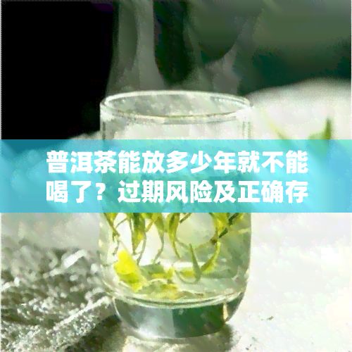 普洱茶能放多少年就不能喝了？过期风险及正确存放方法解析