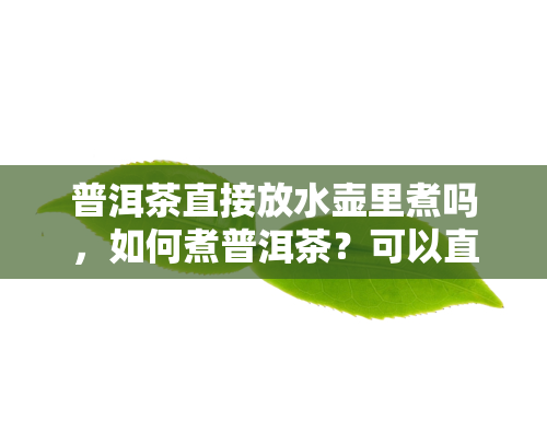 普洱茶直接放水壶里煮吗，如何煮普洱茶？可以直接放水壶里吗？