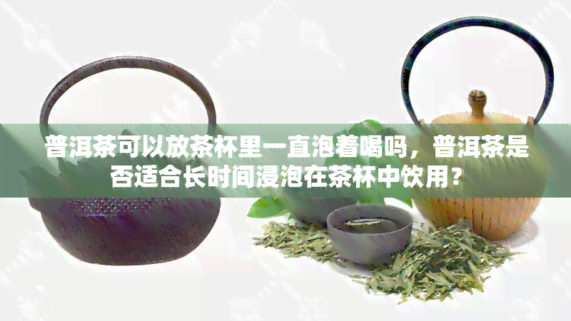 普洱茶可以放茶杯里一直泡着喝吗，普洱茶是否适合长时间浸泡在茶杯中饮用？