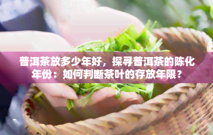 普洱茶放多少年好，探寻普洱茶的陈化年份：如何判断茶叶的存放年限？