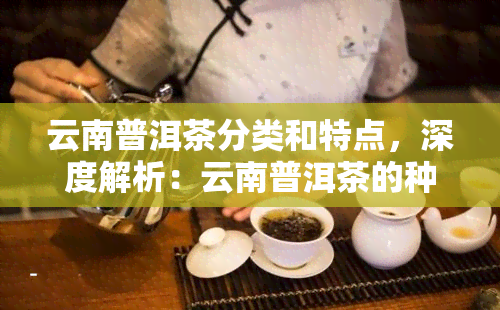 云南普洱茶分类和特点，深度解析：云南普洱茶的种类与独特特点