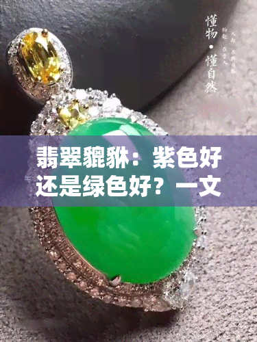 翡翠貔貅：紫色好还是绿色好？一文告诉你！