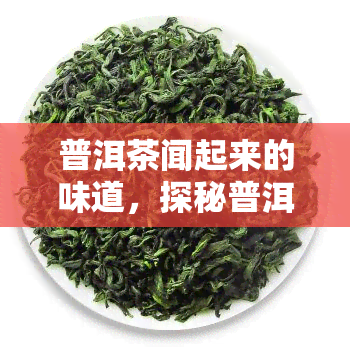 普洱茶闻起来的味道，探秘普洱茶的香气：闻起来的味道解析