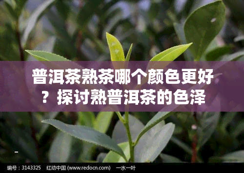 普洱茶熟茶哪个颜色更好？探讨熟普洱茶的色泽