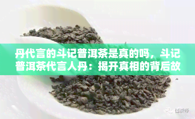 丹代言的斗记普洱茶是真的吗，斗记普洱茶代言人丹：揭开真相的背后故事