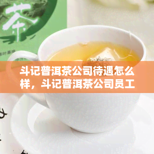 斗记普洱茶公司待遇怎么样，斗记普洱茶公司员工福利待遇全揭秘！