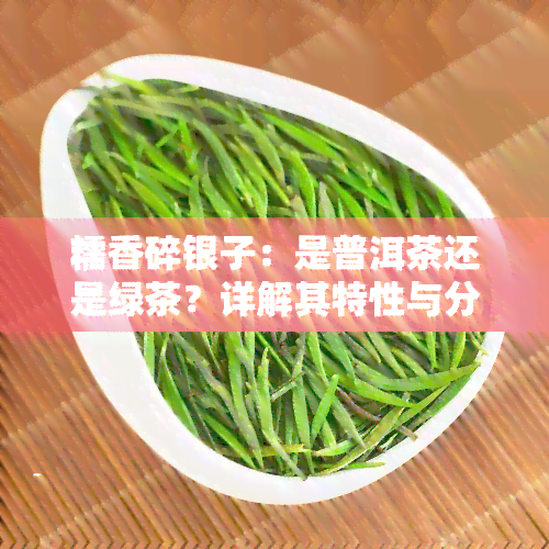 糯香碎银子：是普洱茶还是绿茶？详解其特性与分类