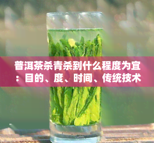 普洱茶杀青杀到什么程度为宜：目的、度、时间、传统技术、工艺细节问题分析