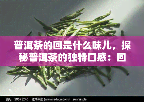 普洱茶的回是什么味儿，探秘普洱茶的独特口感：回的滋味如何？