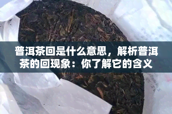 普洱茶回是什么意思，解析普洱茶的回现象：你了解它的含义吗？