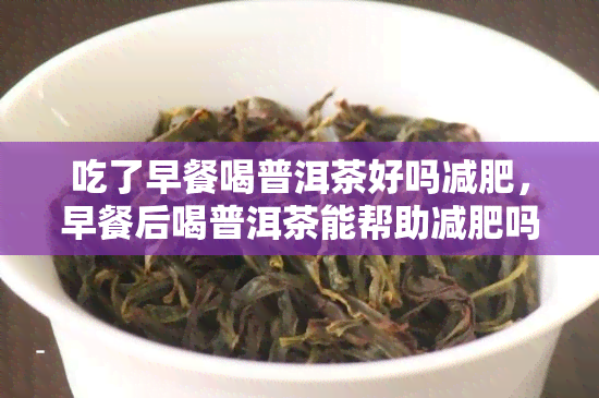 吃了早餐喝普洱茶好吗减肥，早餐后喝普洱茶能帮助减肥吗？