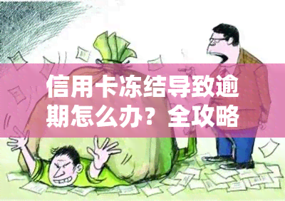 信用卡冻结导致逾期怎么办？全攻略！