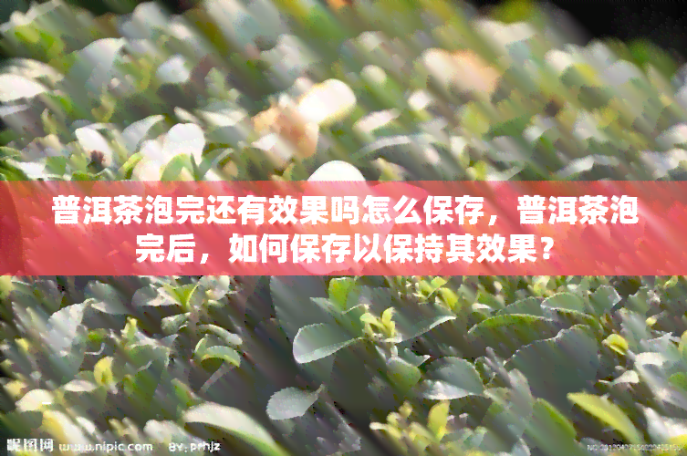 普洱茶泡完还有效果吗怎么保存，普洱茶泡完后，如何保存以保持其效果？