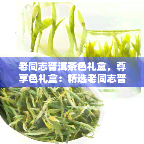 老同志普洱茶色礼盒，尊享色礼盒：精选老同志普洱茶，尽显高贵品味