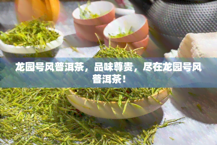 龙园号风普洱茶，品味尊贵，尽在龙园号风普洱茶！