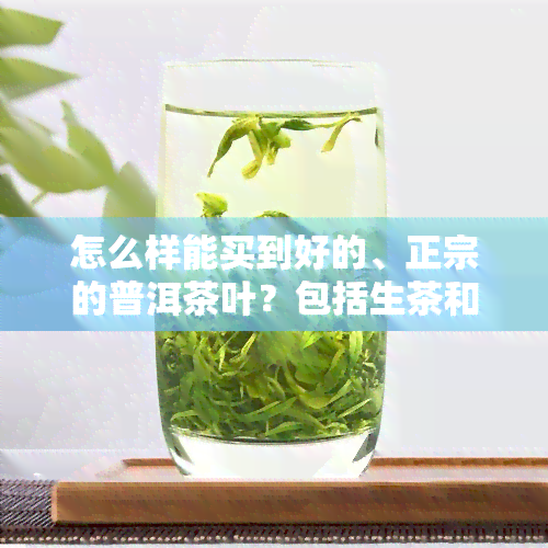 怎么样能买到好的、正宗的普洱茶叶？包括生茶和心仪的品种