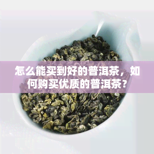 怎么能买到好的普洱茶，如何购买优质的普洱茶？