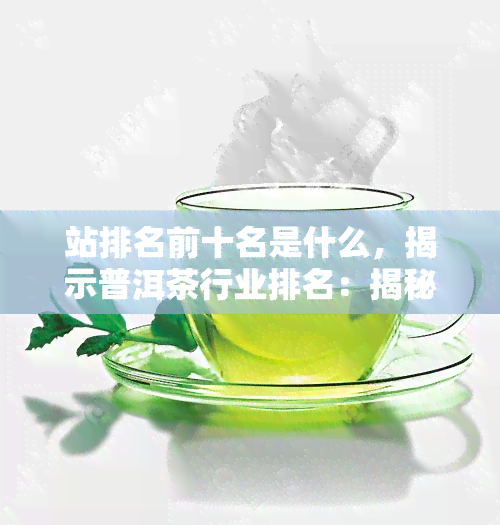 站排名前十名是什么，揭示普洱茶行业排名：揭秘网站前十强！