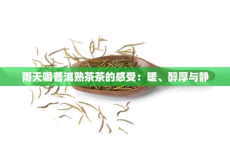 雨天喝普洱熟茶茶的感受：暖、醇厚与静