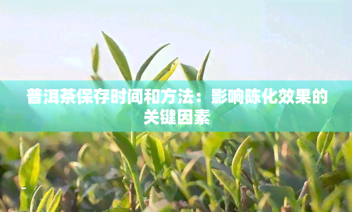 普洱茶保存时间和方法：影响陈化效果的关键因素