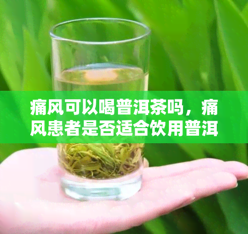 痛风可以喝普洱茶吗，痛风患者是否适合饮用普洱茶？