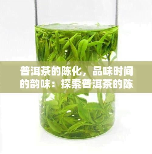 普洱茶的陈化，品味时间的韵味：探索普洱茶的陈化过程